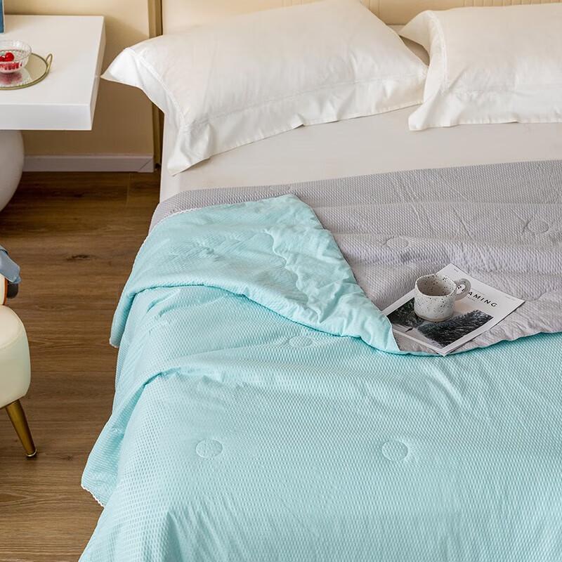 Louis Kellog Silk Blend Bubble Fiber Quilt