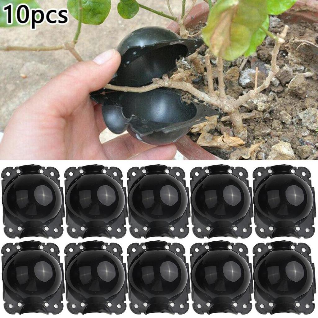 10Pcs Horticultural Grafting Propagation Box, Transparent Pressure Strip Rooting Ball, Fruit Tree Flower Cutting Seedling Plant Propagation Tool