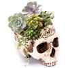 Decorațiuni pentru casă – Ghivece de flori decorative