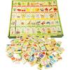 Wooden Domino with Pictures Blocks Dice 100 Pcs Educational