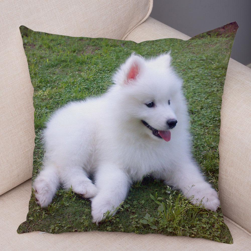 50 Stil Husă de Pernă Câine Alb Drăguț Samoyed Decor Husă de Pernă Animal de Companie Iubitor Husă de Pernă Moale de Pluș pentru Canapé Cameră Copii