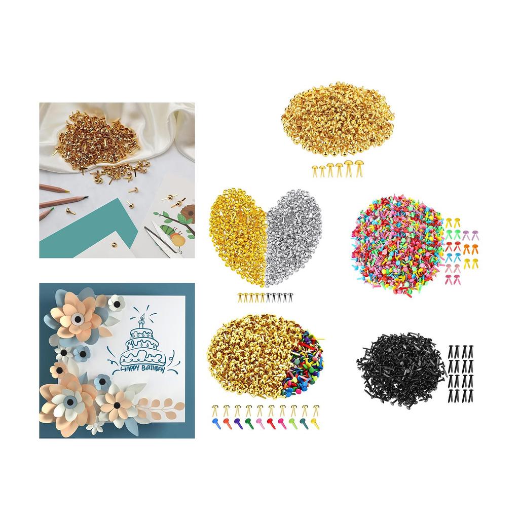 Paper Fasteners Brads Multi Size Split Pins Crafting Tools for Home Office Card Making