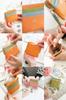Mini Wallet Orange [Framework] Women's FW-44614-34