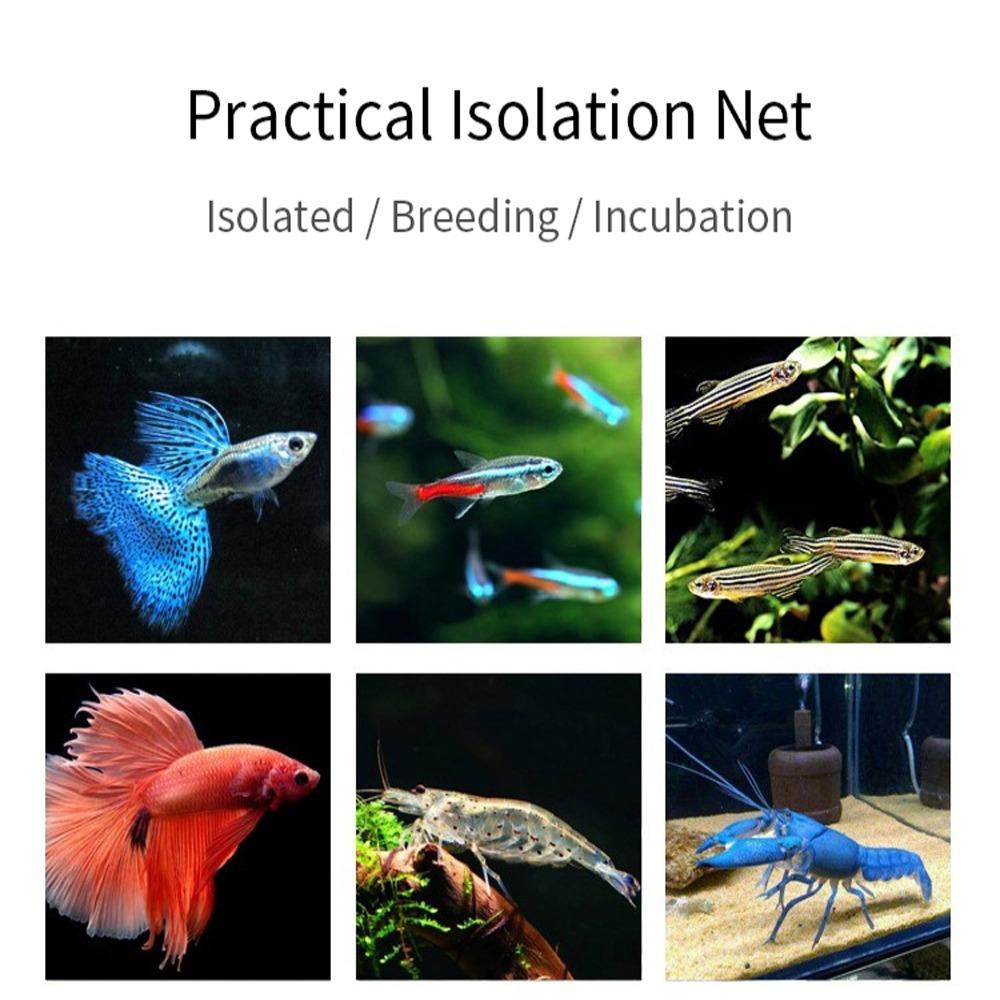 Useful Rearing Double Aquarium Incubator Breeder Breeding Isolation Box Hatchery Grow Seed Holder