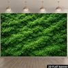 2D Lush Green Hedge Backdrop Outdoor, Studio & Family Photography Background