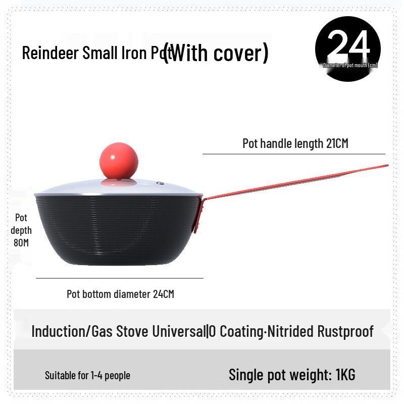 Wutuo 24CM Mini Non-Stick Flat-Bottom Iron Wok with Lid