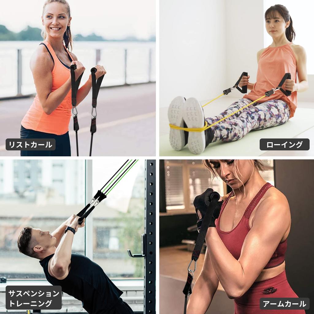 TheFitLife Resistance Bands (Blue/Green/Red/Black/Orange)