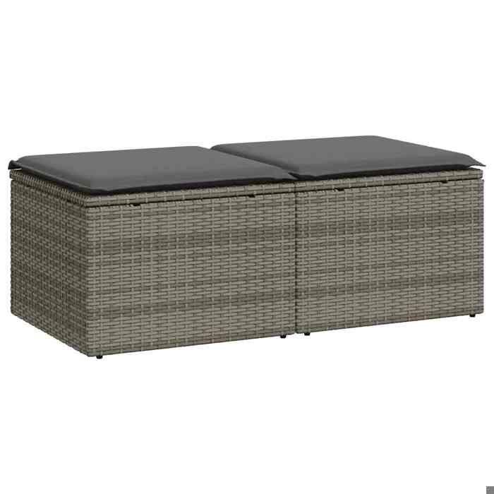 VidaXL Salon de jardin 2 pcs avec coussins gris résine tressée acacia 3328683