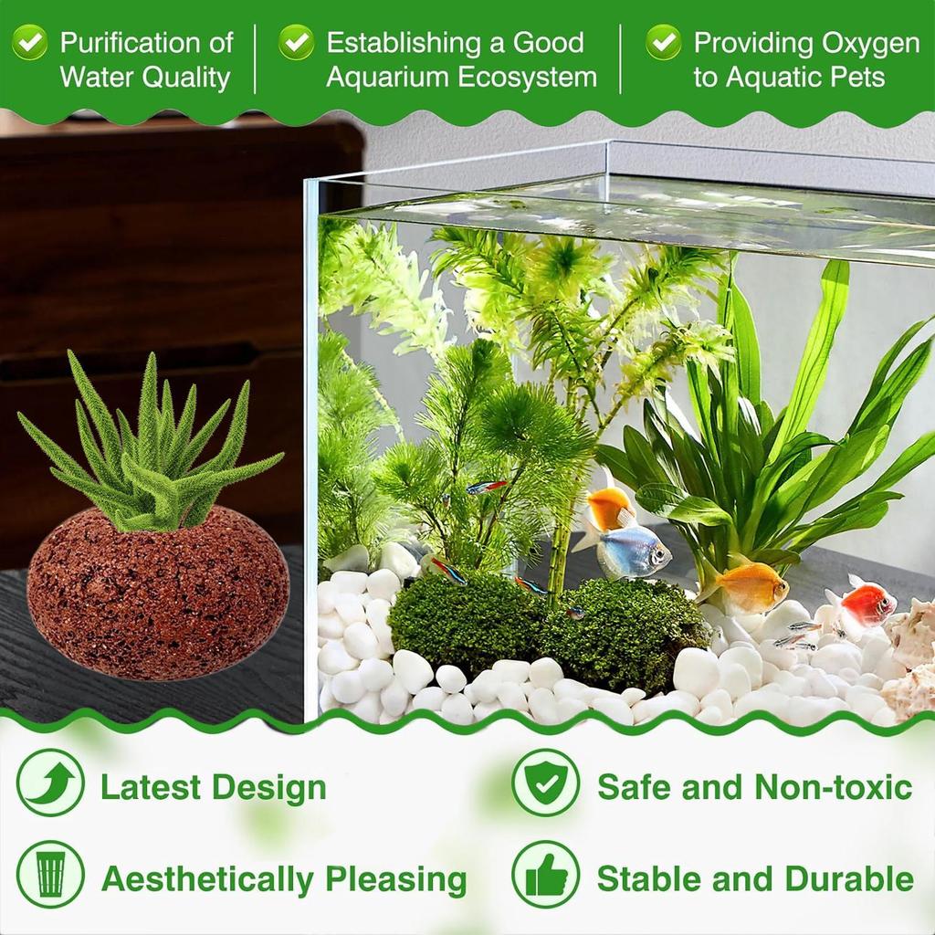 Aquarienpflanzen-Gewichte Ovaler Ring Anti-Schwimmende Wasserpflanzen Fixierungsringe Für Süßwasser-Garnelen-Teich Pool Zucht