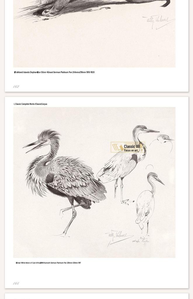 Classic Animal Sketching Techniques: Beginner's Hardcover Self-Study Guide