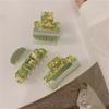 Print Mode Acetatplatte Grün Haarschmuck Damen Haarspangen Koreanischer Stil Haarnadeln Haarklammern