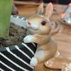 3PCS Cute Hanging Pot Bunny Resin Bunny Plant Holder Creative Rabbit Pot Hangers  Fish Tank