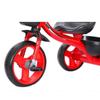 Airud Kids' 2-6 Year Old Lightweight Pedal Push Tricycle (CN version)