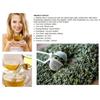 Jin Xuan Oolong Tea 100g Natural Milk Fragrance Herbal Energy Relax
