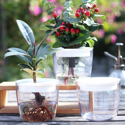 Blumentopf, transparent, auslaufsicher, verdickt, risshemmend, selbstbewässernd, dekorativer Hydrokultur-Blumentopf, Garten-Pflanzgefäß, Fenster-Blumentopf, Gartenzubehör