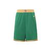 NBA SW 19-20 Boston Celtics City Edition Swingman Shorts Green Men's BV5862-312