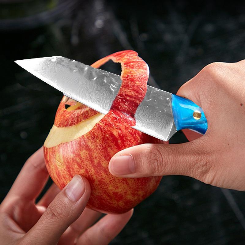 

Кухонный нож Кухонный нож Кухонный нож Нож для барбекю Нож для рыбалки Нож для барбекю Нож для очистки овощей Овощи Мясо Фруктовый нож Инструмент для приготовления пищи из нержавеющей стали 1pcs