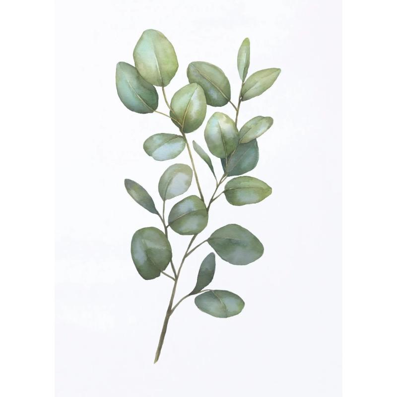 Akwarelowe Plakaty Liściowo Zielone Botaniczne Wydruki Eukaliptusa Obraz na Płótnie Sztuka Ścienna Obrazy do Salonu Dekoracja Domu