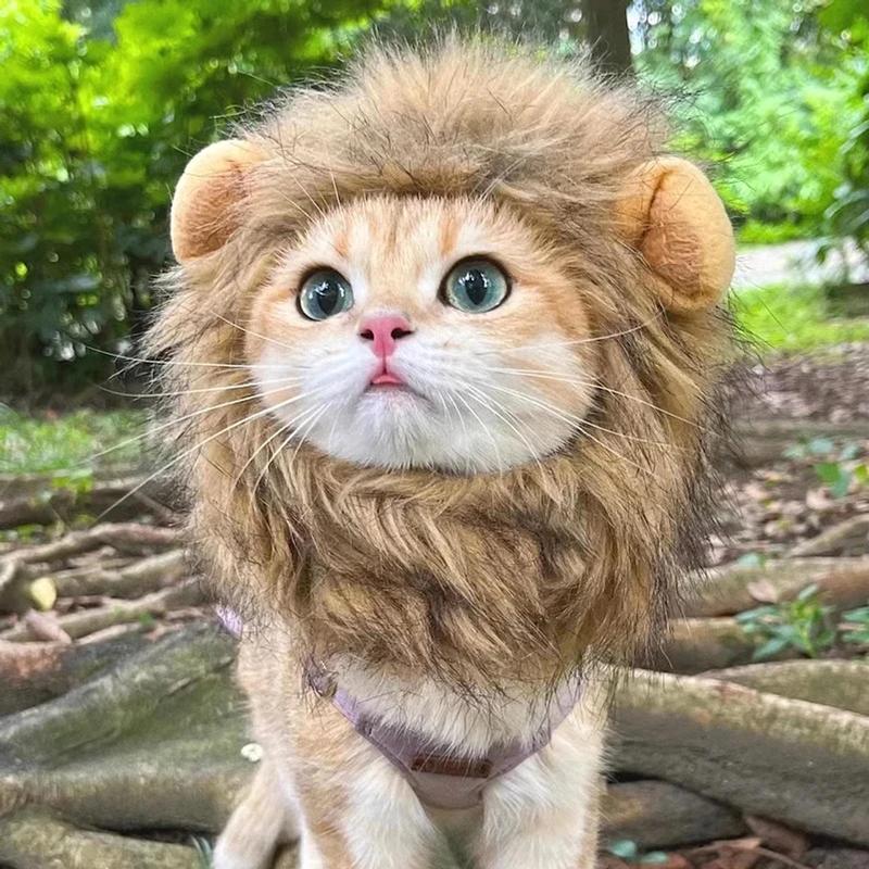 Cute Cat Hat Lion Headgear Elastic Autumn Winter Pet Hat Puppy Kittens Hat Party Photo Shoot Props Decoration Cat Accessories