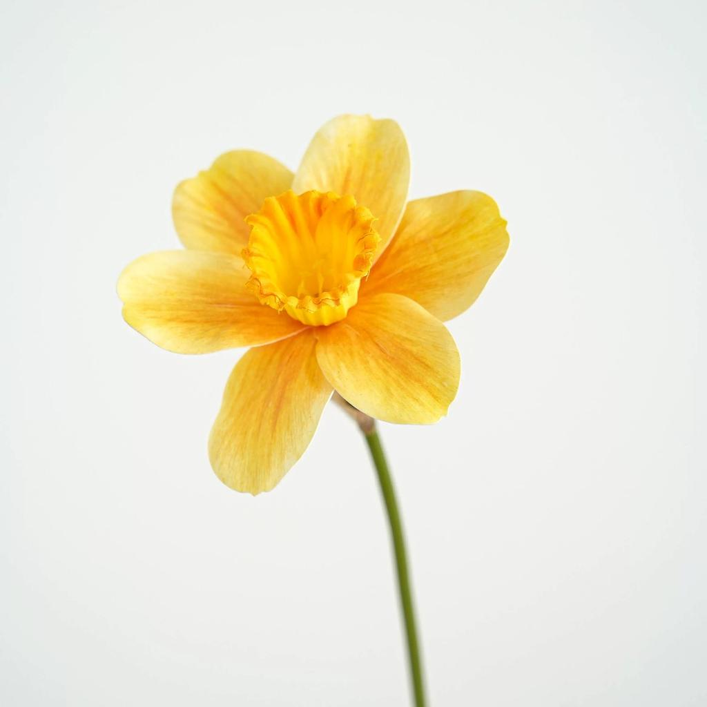 3Pcs Artificial Daffodil Flowers Yellow Faux Flower Bouquet Orange for Home Wedding Decor Floral Arrangement