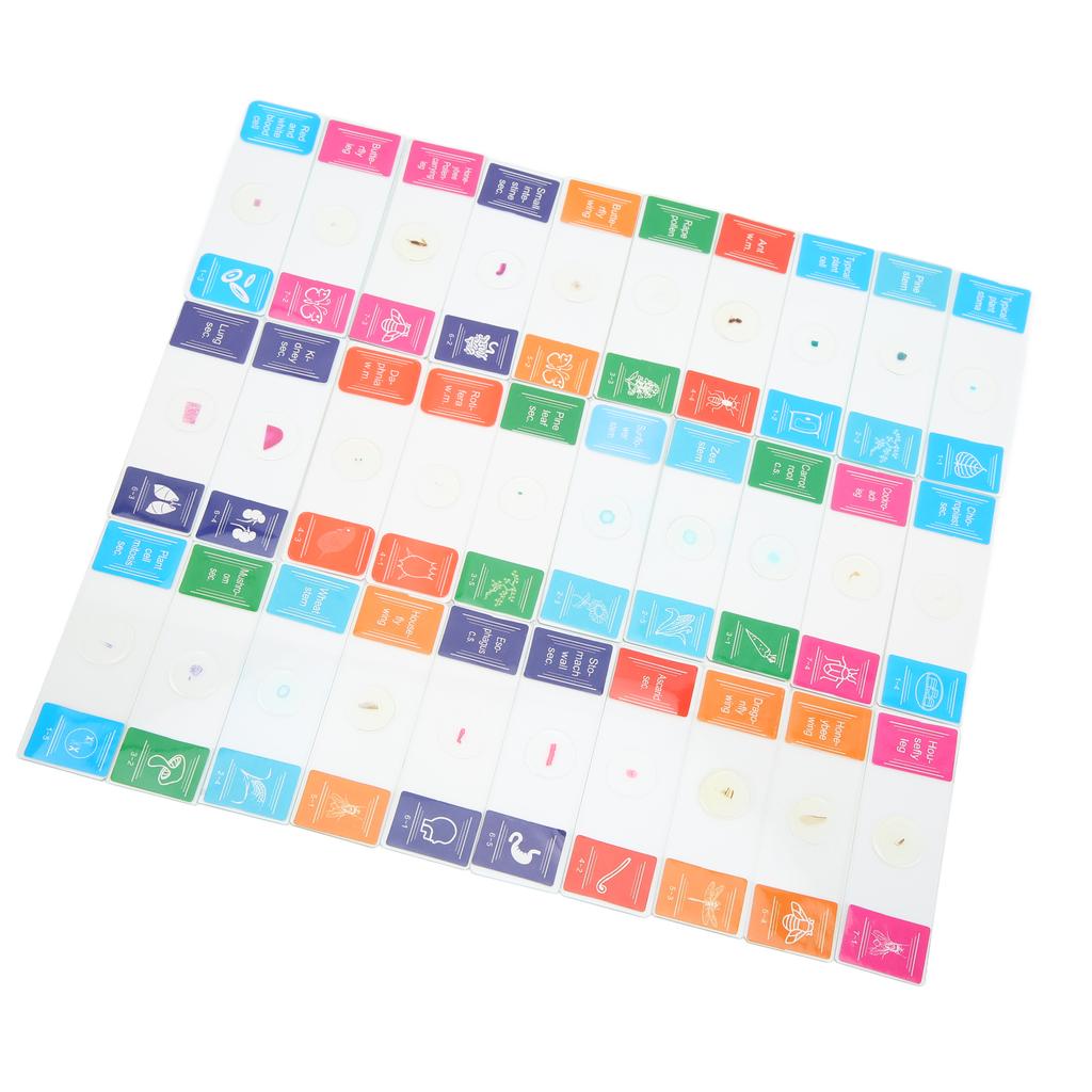 30Pcs Microscope Slides with Box Transparent Biology Prepared Slide Set for Laboratory