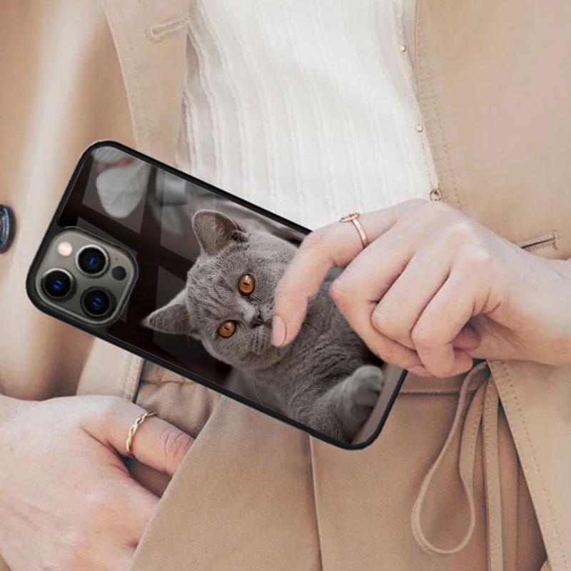 Closeup British Shorthair Cat Yellow Eye Magnetic Phone Case For iPhone 17 Air 16 14 13 12 Pro Max 15 Plus MagSafe Cover