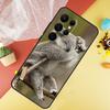 Koala Phone Case For Samsung Galaxy S25 S26 Ultra S21 S20 S22 S23 Ultra S10 Plus S24 FE Cover Coque