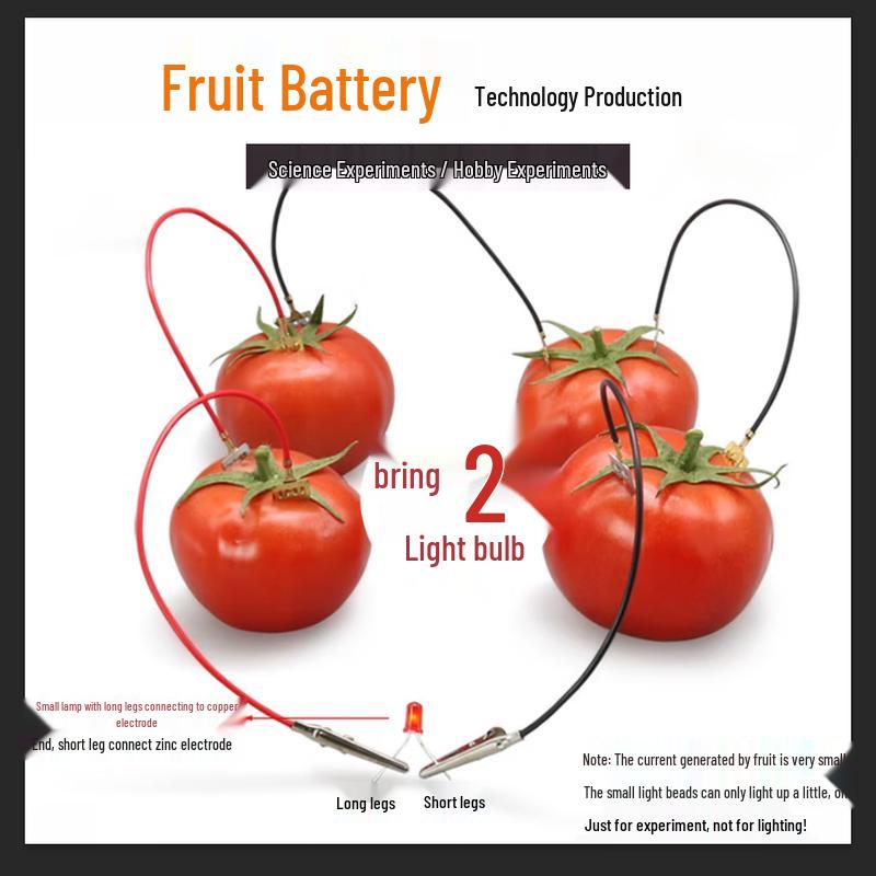 Fruit Battery Science Experiment Kit