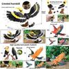 Animal Wildlife Model Solid Plastic Parrot And Hornbill Figures For Gift Kids