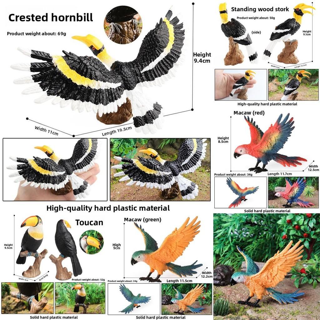 Model Wildlife Animal Solid Plastic Parrot And Hornbill Figures For Kids Gift