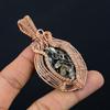 Turitella Fossil Pendant, Handmade Gemstone Pendant, 999 Copper Wire Wrapped Pendant Antique Jewelry, For Engagement Gift