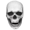 [Muu3] Halloween Skeleton Mask with Movable Jaw (White) for School Festivals and Parties