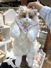 Ragdoll Cat Plush Backpack and Kitten Pillow Toy Gift