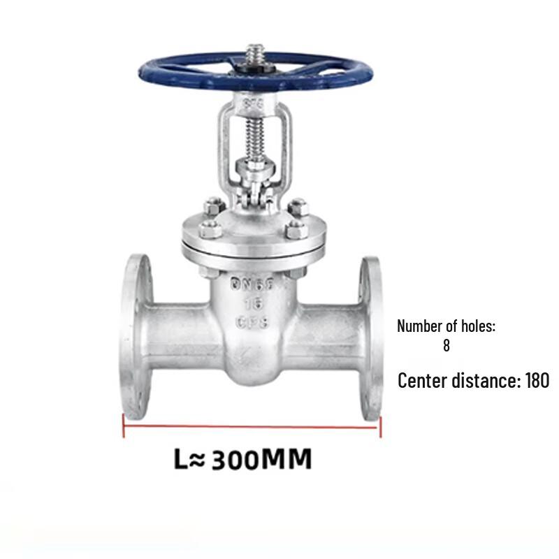 304 Stainless Steel Flange Gate Valve