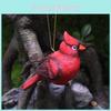 Bird Red Resin Handicraft Decoration Suitable For Wedding And Gift Christmas