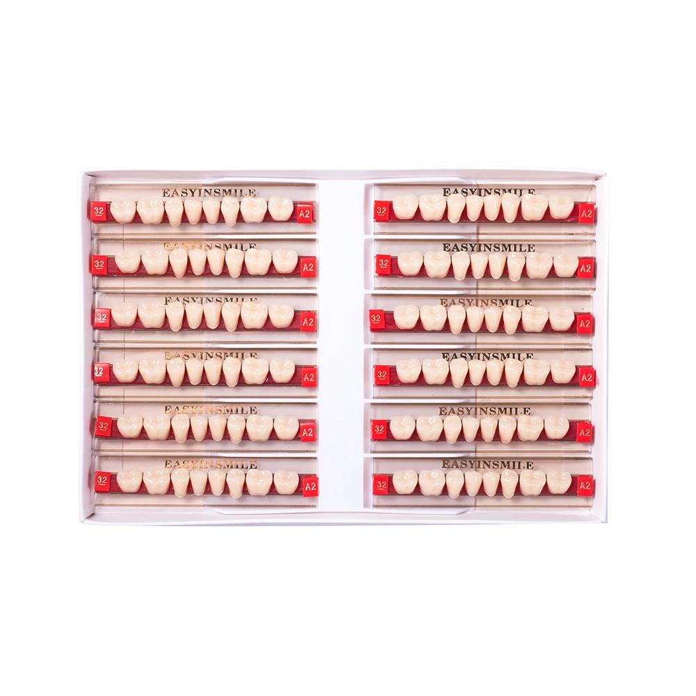 16/12 Sätze/Karton Zahnprothese Zähne Oberkiefer Frontzähne Unterkiefer Seitenzähne Dentier Synthetisches Polymerzähne Zahnmedizinische Ausbildungsmodell