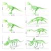 Classic Glow In The Dark Dinosaur Fossil Models Including T-rex Triceratops Plesiosaur And More