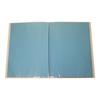 Nakabayashi Award File A3 size 10 pockets 20 sheets storage Blue SD-SH-A3-B