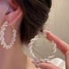 Women S925 Silver Needle Pearl Wrapped Circle Fashion Earrings Light Luxury Jewelry