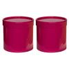 Two Tiny Floral Display Buckets Sturdy Base Gift Wrapping Boxes For Artistic Arrangements Home Or Office Decoration Use
