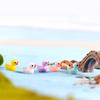 5 stk Resin Duck Model Ornament Miniatyr Hage Sukkulent Bonsai Dukkehus Dekor