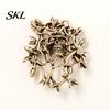 Decorative Brooch Accessory Distressed Style Pin, Punk Retro Thorns Skull Design Lapel Pin with Anti-oxidation Rhinestones Inlaid, Vines Surrounding