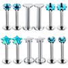 12PC Crystal Labret Piercing Set 16G Heart Tragus Piercing Earring Lot Conch Piercing Set Lip Labret Stud Pack Lobe Earring Bulk