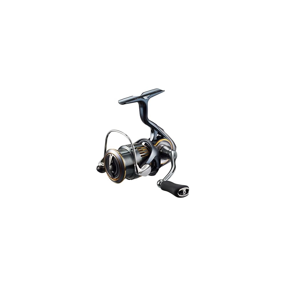 Daiwa 23AIRITY LT2000S-H Light Saltwater Spinning Reel for Area Trout and Native Trout Fishing