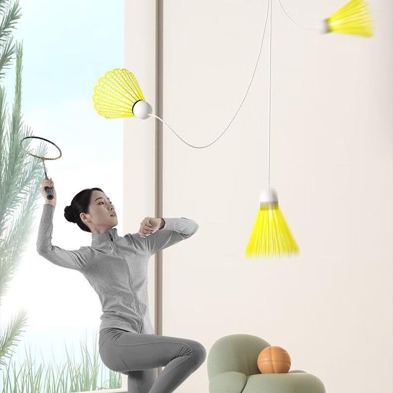 Adult Badminton Training Set