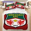 Sunderland Afc Emblem Radiance Three-piece set (1 * duvet cover + 2 * pillowcase, without core) 2D Flat Christmas birthday gift
