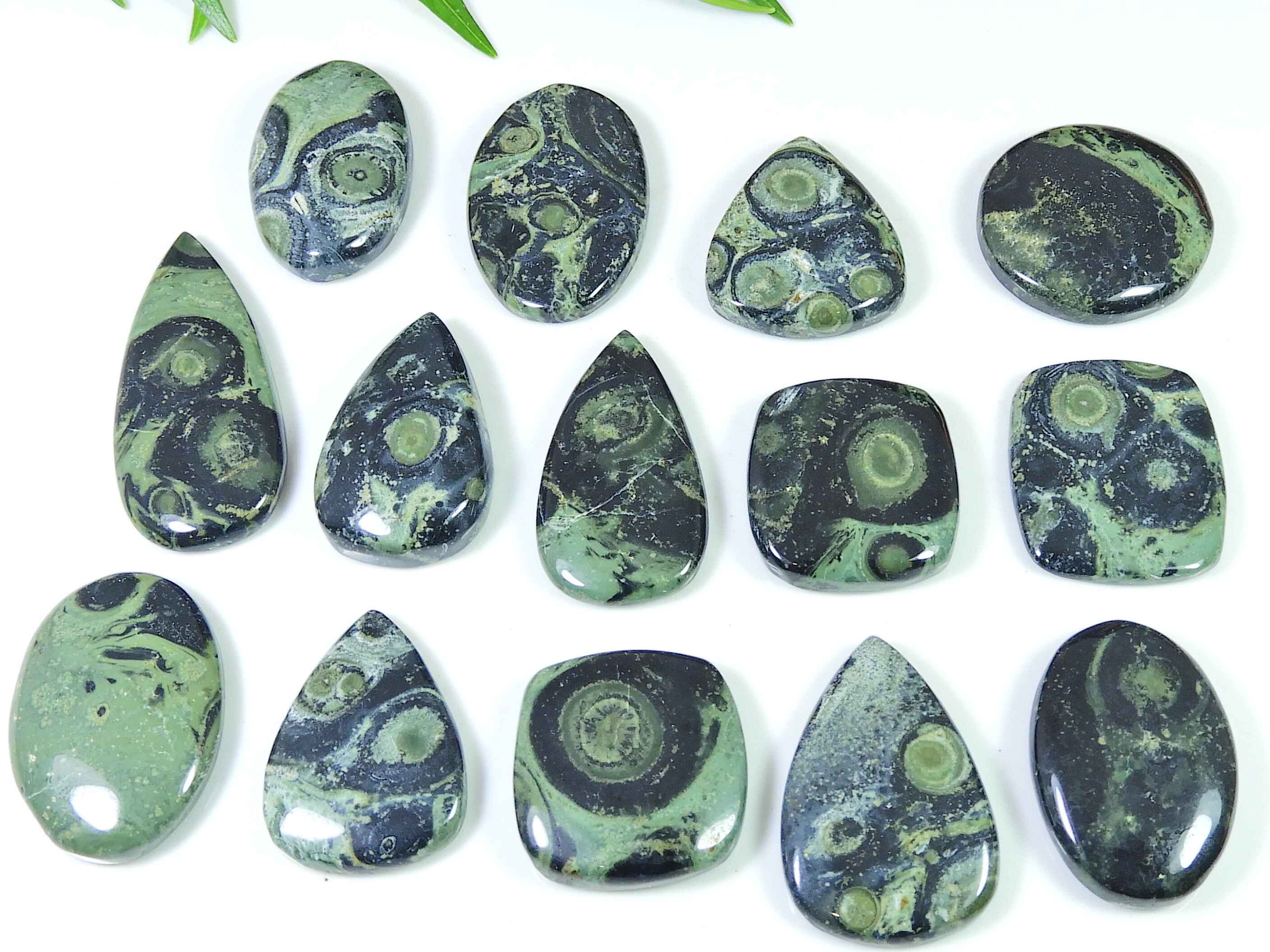 

25-38MM Star Galaxy Kambaba Jasper Mix cabochon loose Gemstone 14Pcs Lot RQ-3068