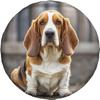 1pc Beagle Hound Spare Tire Cover - Durable Polyester Wheel Protector, Fit For RV, SUV, Truck & Trailer, Ideal For Camping Trips