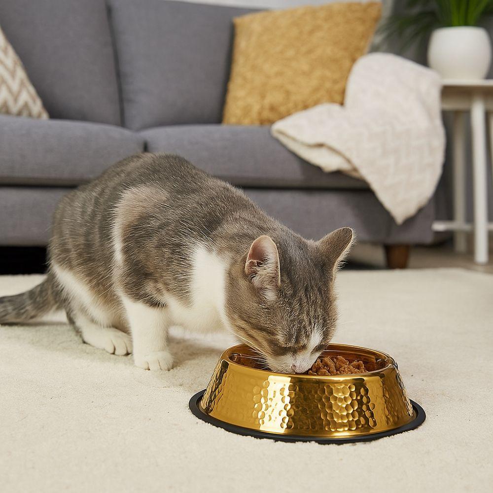 Large Capacity Pet Feeding Bowl Stainless Steel Gold Plated Dog Food Basin Anti Slip Metal Dog Water Food Bowl for Feeding