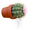 Cactus Shape Design Salt And Pepper Dispenser Bottle S pice Seasoning Containers Salt Pepper Shakers S pice Organizer Spic e Jar